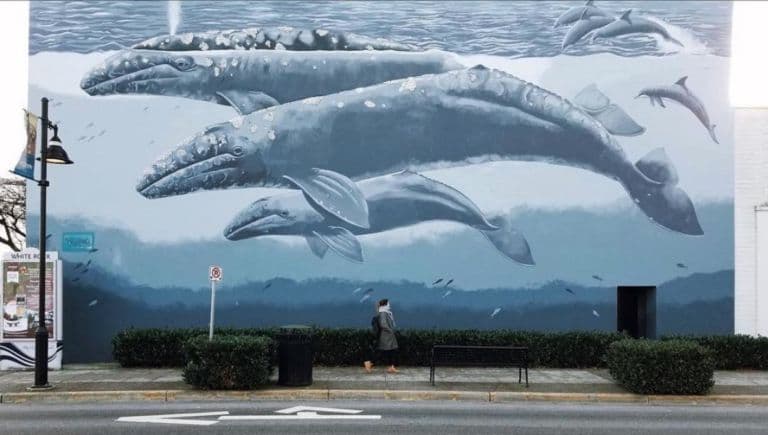 Whale Wall mural near White Rock Pier